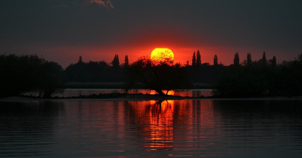 De Biesbosch bij nacht