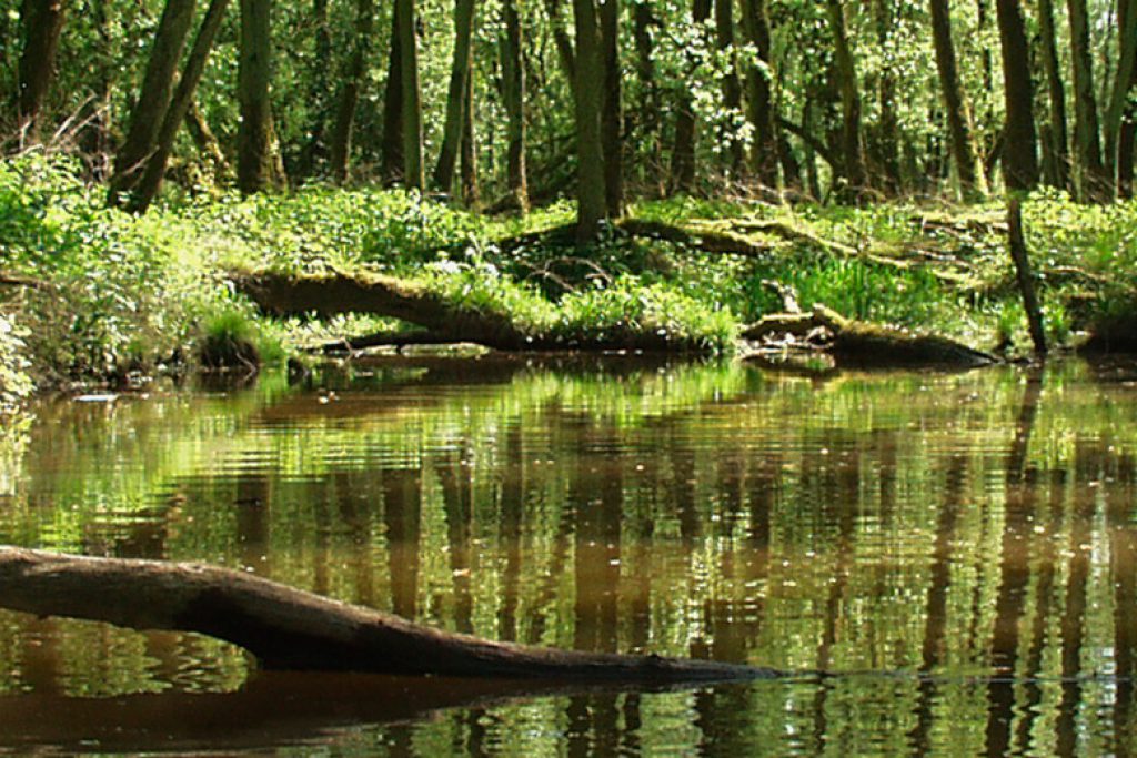 Bent u al ambassadeur van de Biesbosch?