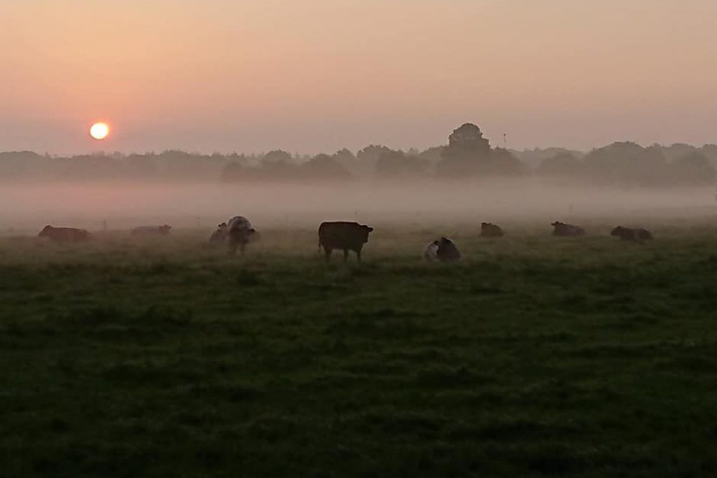 VVD Drimmelen staat voor onze boeren